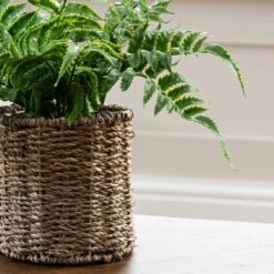 Artificial Fern In Rattan Plant Pot -DUNELM Furniture Shop 1000158282 alt01