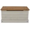 Corona Storage Trunk, Grey -DUNELM Furniture Shop 30618608