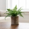 Artificial Fern In Rattan Plant Pot -DUNELM Furniture Shop 30672979