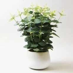 Artificial Eucalyptus In White Plant Pot -DUNELM Furniture Shop 30675307 alt02