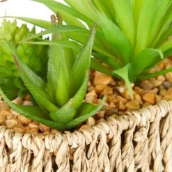 Artificial Succulents In Woven Plant Pot -DUNELM Furniture Shop 30689660 alt03