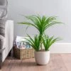 Artificial Yucca Plant In White Ceramic Plant Pot -DUNELM Furniture Shop 30717966