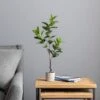 Artificial Lemon Leaf In Concrete Plant Pot -DUNELM Furniture Shop 30724505
