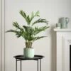 Artificial Real Touch Areca Palm Tree In Black Plant Pot -DUNELM Furniture Shop 30724993