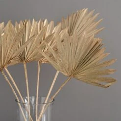 Dried Gold Sun Spear Bundle 18 Dried Gold Sun Spear Bundle -DUNELM Furniture Shop 30730225 alt01
