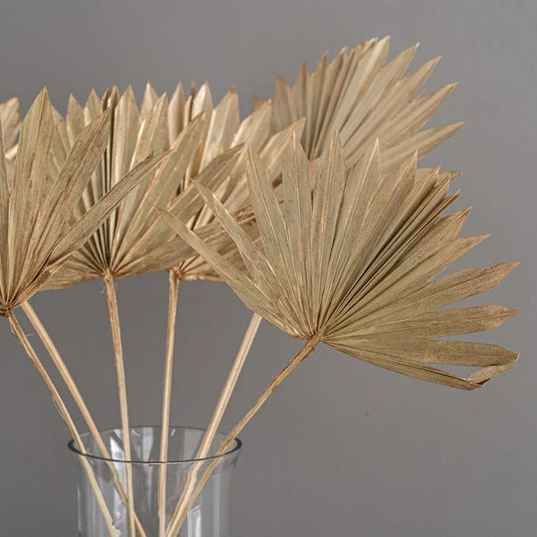 Dried Gold Sun Spear Bundle 9 Dried Gold Sun Spear Bundle - Image 7