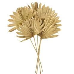 Dried Gold Sun Spear Bundle 21 Dried Gold Sun Spear Bundle -DUNELM Furniture Shop 30730225 alt04