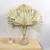 Dried Gold Sun Spear Bundle -DUNELM Furniture Shop 30730255
