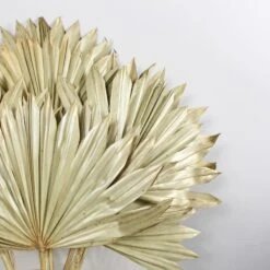Dried Gold Sun Spear Bundle 13 Dried Gold Sun Spear Bundle -DUNELM Furniture Shop 30730255 alt01