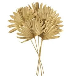 Dried Gold Sun Spear Bundle 16 Dried Gold Sun Spear Bundle -DUNELM Furniture Shop 30730255 alt04