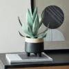 Artificial Aloe Vera In Black Footed Plant Pot -DUNELM Furniture Shop 30732402