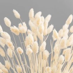 Dried Phalaris Bouquet -DUNELM Furniture Shop 30747115 alt02