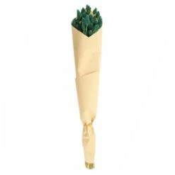 Dried Phalaris Bouquet -DUNELM Furniture Shop 30747116 alt04
