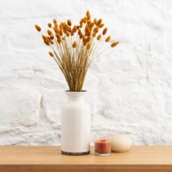 Dried Phalaris Bouquet -DUNELM Furniture Shop 30747117