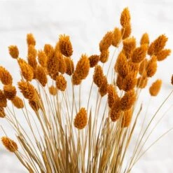Dried Phalaris Bouquet -DUNELM Furniture Shop 30747117 alt02