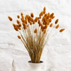 Dried Phalaris Bouquet -DUNELM Furniture Shop 30747117 alt04