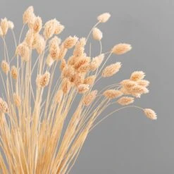 Dried Phalaris Bouquet -DUNELM Furniture Shop 30747118 alt02