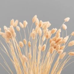 Dried Phalaris Bouquet -DUNELM Furniture Shop 30747118 alt04