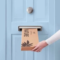 Artificial Eucalyptus Willow And Chestnut Letterbox Bouquet -DUNELM Furniture Shop 30748823 alt04