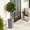Artificial Bay Tree In Anthracite Pot 120cm -DUNELM Furniture Shop 30799972