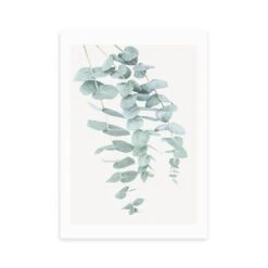 East End Prints Eucalyptus 2 Print -DUNELM Furniture Shop 30806516