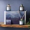 Serenity Set Of 3 Pause Diffuser Gift Set -DUNELM Furniture Shop 30823873