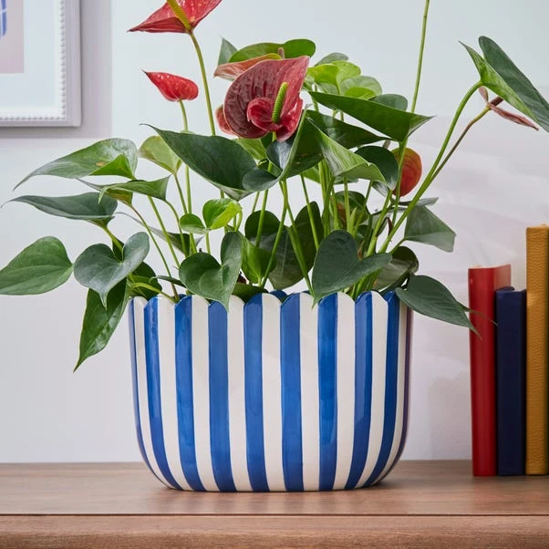Scalloped Blue Plant Pot 3 Scalloped Blue Plant Pot