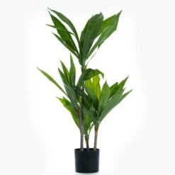 Artificial Real Touch Dracaena Tree In Black Plant Pot -DUNELM Furniture Shop 30860951 alt02