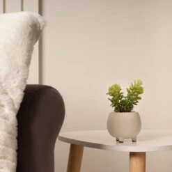 Artificial Set Of 3 Succulents In Cream Cement Plant Pots -DUNELM Furniture Shop 30860960 alt01