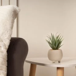 Artificial Set Of 3 Succulents In Cream Cement Plant Pots -DUNELM Furniture Shop 30860960 alt03