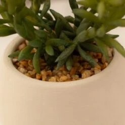 Artificial Set Of 3 Succulents In Cream Cement Plant Pots -DUNELM Furniture Shop 30860960 alt05