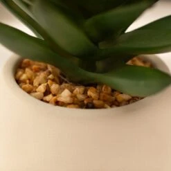 Artificial Set Of 3 Succulents In Cream Cement Plant Pots -DUNELM Furniture Shop 30860960 alt06