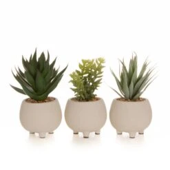 Artificial Set Of 3 Succulents In Cream Cement Plant Pots -DUNELM Furniture Shop 30860960 alt07