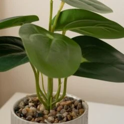 Artificial Set Of 3 Plants In Ribbed Ceramic Plant Pot -DUNELM Furniture Shop 30861032 alt02