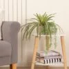 Artificial Set Of 2 Spider And Eucalyptus Plants In Ribbed Ceramic Plant Pots 1 Artificial Set Of 2 Spider And Eucalyptus Plants In Ribbed Ceramic Plant Pots -DUNELM Furniture Shop 30861034