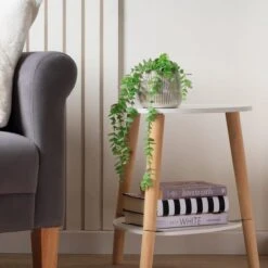 Artificial Set Of 2 Spider And Eucalyptus Plants In Ribbed Ceramic Plant Pots -DUNELM Furniture Shop 30861034 alt02