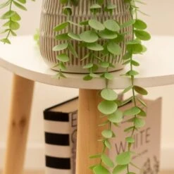 Artificial Set Of 2 Spider And Eucalyptus Plants In Ribbed Ceramic Plant Pots -DUNELM Furniture Shop 30861034 alt04