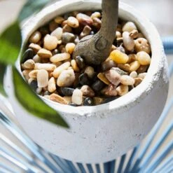 Artificial Olive Tree In White Cement Pot -DUNELM Furniture Shop 30861647 alt01