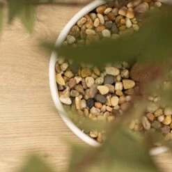 Artificial Olive Tree In White Ceramic Plant Pot 7 Artificial Olive Tree In White Ceramic Plant Pot -DUNELM Furniture Shop 30864288 alt02