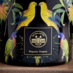 Majestic Tropics Birds Candle -DUNELM Furniture Shop 30864470 alt01