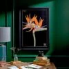 Bird Of Paradise Framed Print -DUNELM Furniture Shop 30866674