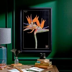Bird Of Paradise Framed Print