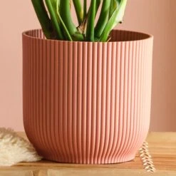 Swiss Cheese House Plant In Elho Pot -DUNELM Furniture Shop 30875283 alt02