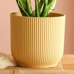 Swiss Cheese House Plant In Elho Pot -DUNELM Furniture Shop 30875284 alt02