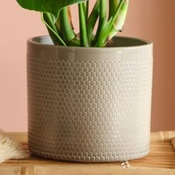 Swiss Cheese House Plant In Capri Pot -DUNELM Furniture Shop 30875287 alt02
