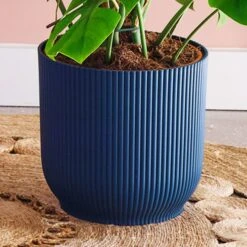 Swiss Cheese House Plant In Elho Pot -DUNELM Furniture Shop 30875295 alt02