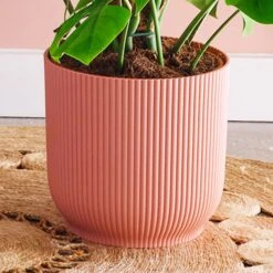 Swiss Cheese House Plant In Elho Pot -DUNELM Furniture Shop 30875296 alt02