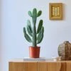 Cowboy Cactus House Plant -DUNELM Furniture Shop 30875575