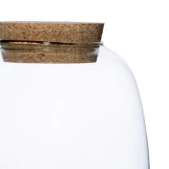 Bowl Shape Medium Terrarium DIY Kit -DUNELM Furniture Shop 30878057 alt03