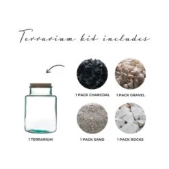 Bottle Shape Large Terrarium DIY Kit -DUNELM Furniture Shop 30878059 alt02